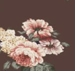 Pastel rjava (8035)